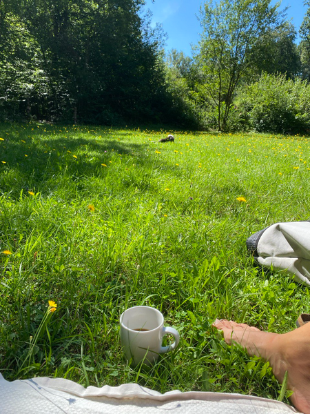 (Zelt-)Wiese vor dem Giebelhaus